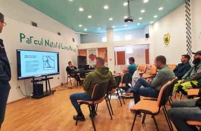castan ancorat 5 arboristi