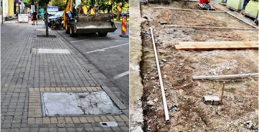 Revanșa Copacilor pe Bulevard! 🌳 Descoperă noutățile surprinzătoare aduse de administrația locală chiar aici și acum!