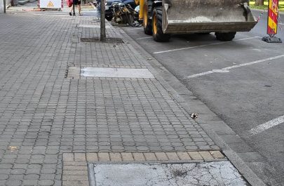 copaci bulevard terasa