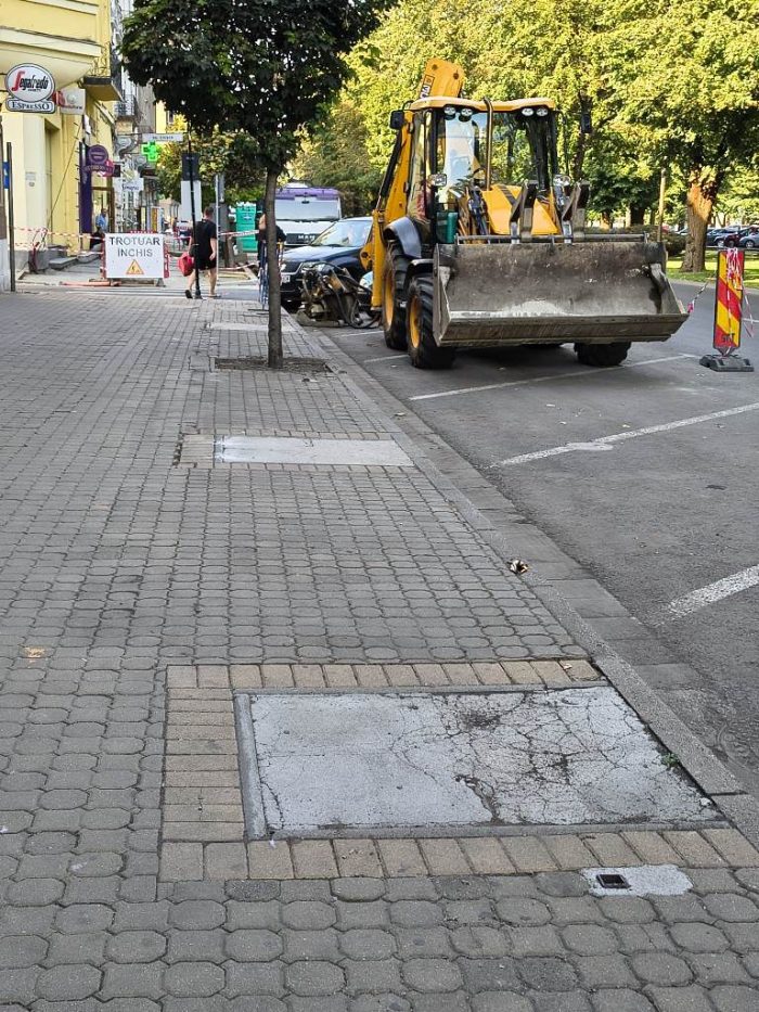 copaci bulevard terasa