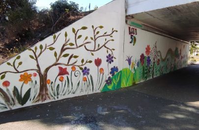 elevi lni asociația micălaca cartierul nostru viaduct (1)