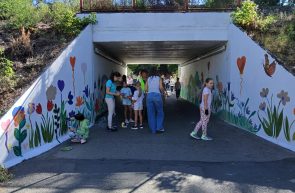 viaductul micălaca elevi