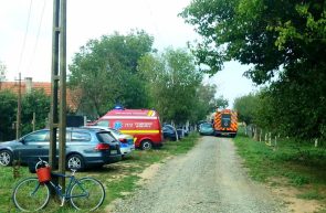 Covăsânț flăcări