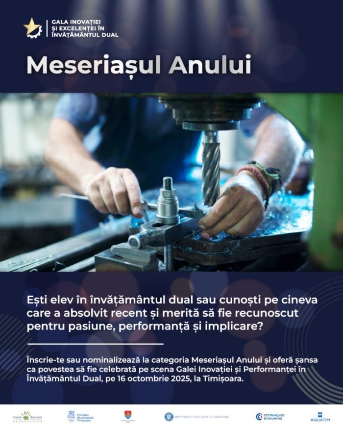 invatamantul dual 3