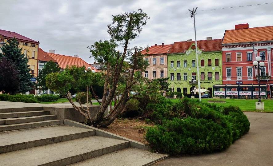 Redesenarea Artistică a Spațiilor Verzi După Ani de Abandon
