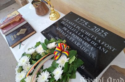 250 ani spitalul municipal arad vizită șantier (1)