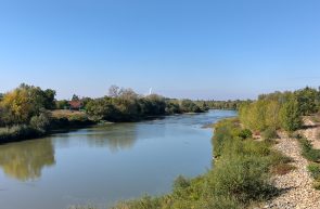 podul hobanat Arad