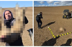 Scene de cruzime șocantă la Vinga - un vânător a călcat intenționat un căprior cu ATV-ul