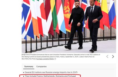 analiză reuters
