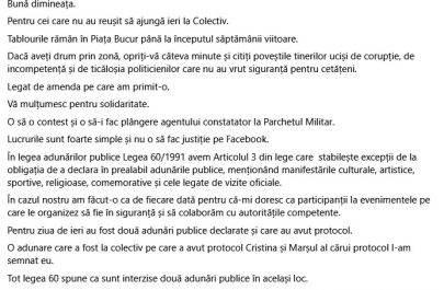 colectiv marian raduna