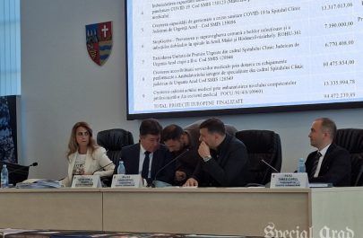 noghiu la ședință cj (2)