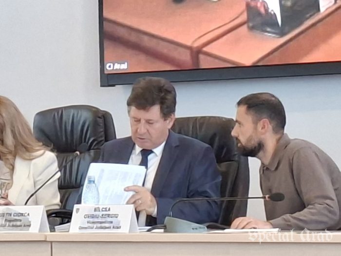 noghiu la sedinta cj 6