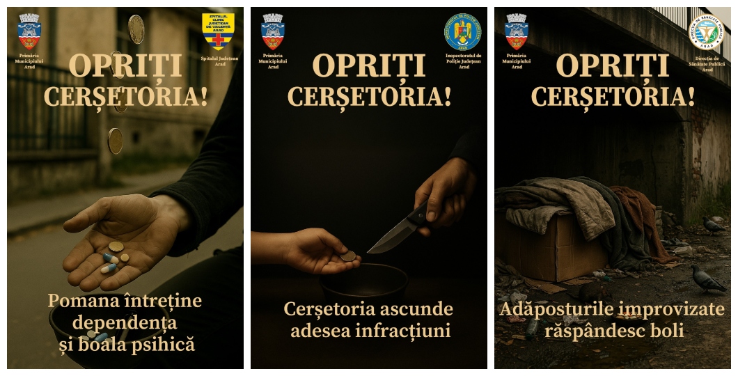Campanie nouă, problemă veche - cerșetoria la Arad, în statistici (2)