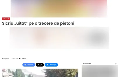 Fake News sicriul căzut pe o stradă din Arad - Gorj Online