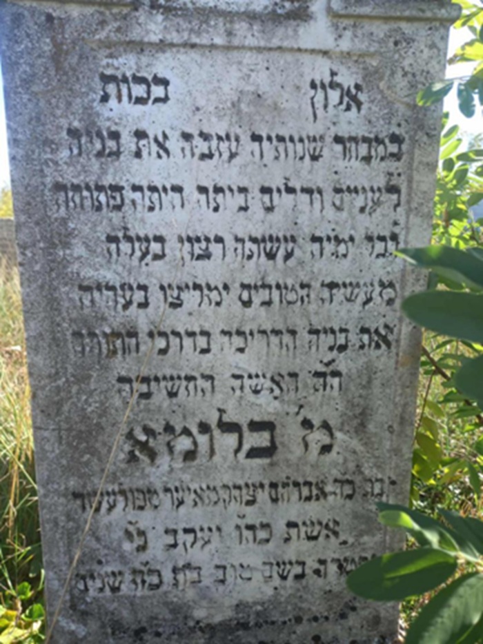 Stejarul