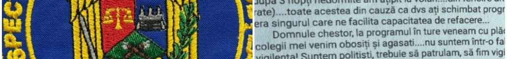 agent poliție IPJ
