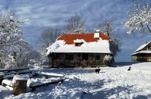Casa Tradiţională urşilor