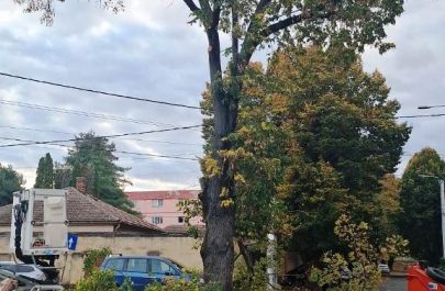 copac strada trimuf 5