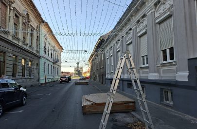 nemulțumiri târg (1)