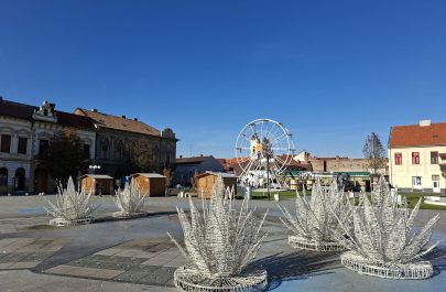 nemulțumiri târg (4)