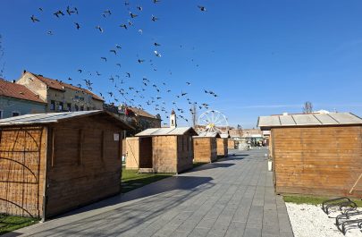 nemulțumiri târg (6)