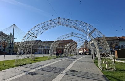 nemulțumiri târg (7)