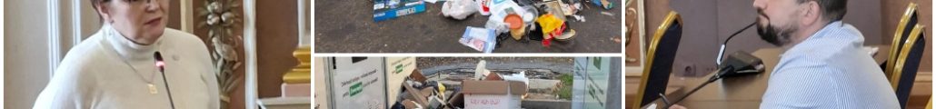 sesizări insule ecologice consiliul local