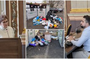 sesizări insule ecologice consiliul local