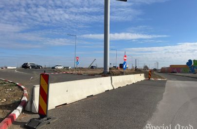 trafic deviat dn 7 pentru pasaj vladimrescu (5)