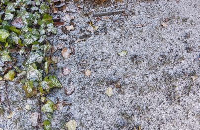 IMG_20251230_134922_HDR