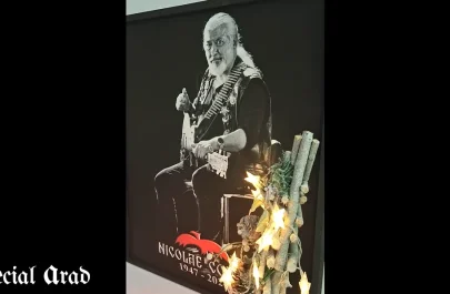 Nicu Covaci Phoenix Galeria Sepi Fie să renască