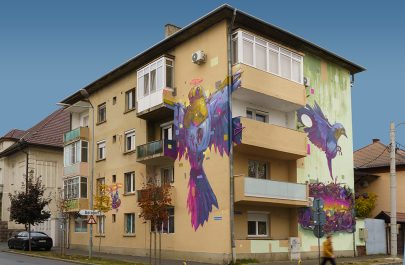 Soft landing Fat Heat Arad Citizenit AR STREET smART Reality Switch_ Foto Credit Alexandru Buhai