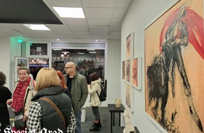 Valeriu Sepi - Galeria Sepi - Phoenix (1)