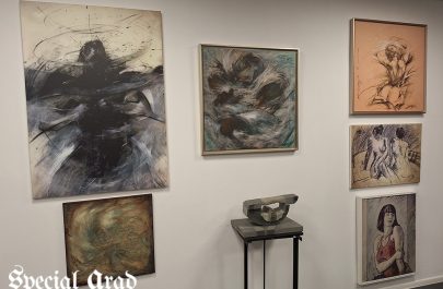 Valeriu Sepi - Galeria Sepi - Phoenix (5)