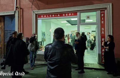 Valeriu Sepi - Galeria Sepi - Phoenix (6)