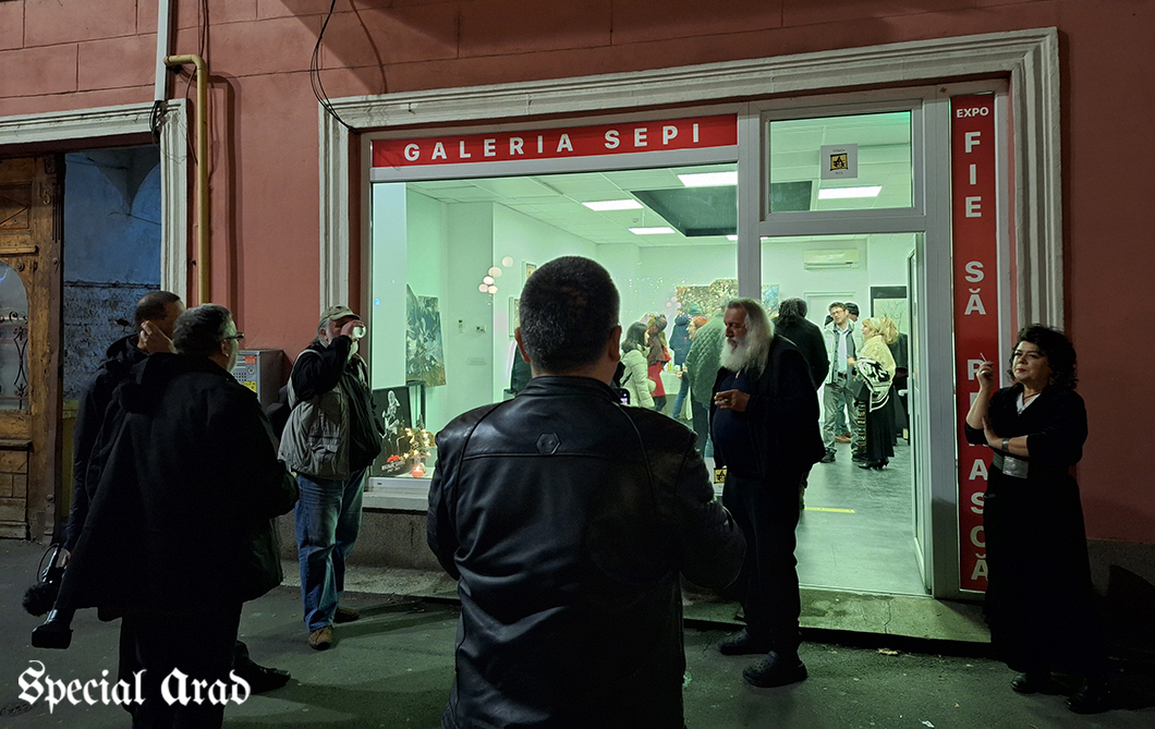 Valeriu Sepi - Galeria Sepi - Phoenix (6)