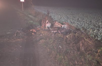 accident 3