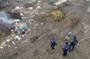 amendă socodor