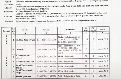 arbori cereri taiere 2025 2026