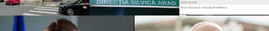 director Direcţia Silvică Ţigan