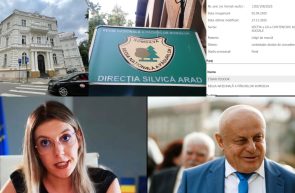 director Direcţia Silvică Ţigan
