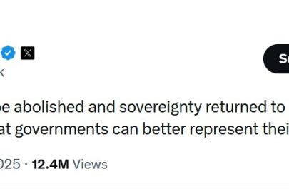 elon musk ue