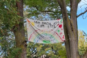 iubim parcul asa cum este