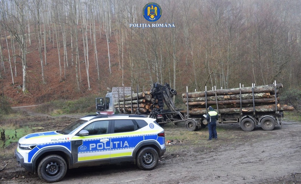 Photo for the article Lemne în valoare de peste 54.000 de lei, confiscate de polițiștii arădeni