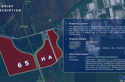 teren de 65 ha pentru parc logistic sau industrie ușoară în zona de Vest a Aradului (3)