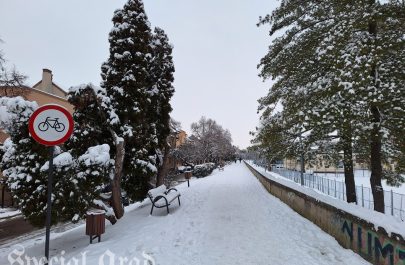 Aradul în alb (1)