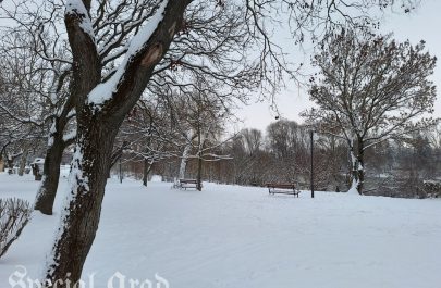 Aradul în alb (10)