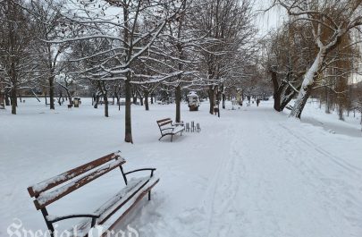 Aradul în alb (12)