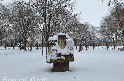 Aradul în alb (13)