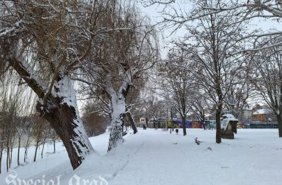 Aradul în alb (15)